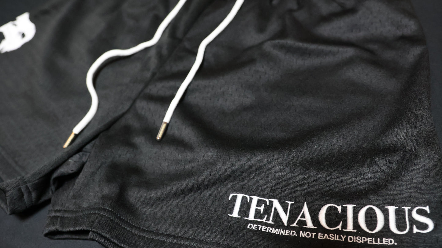 Tenacious Mesh "Mid Thigh Cut" Shorts